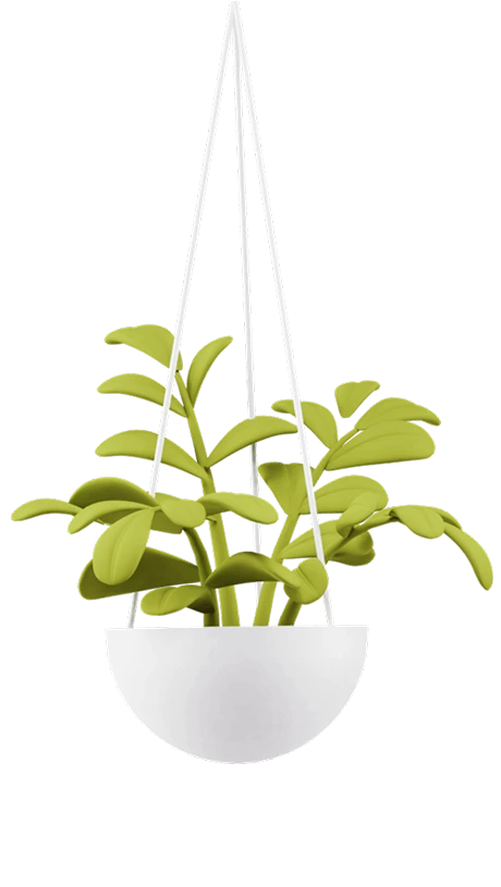 partner-top-banner-pot